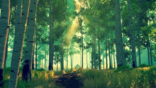 Firewatch 182436,2